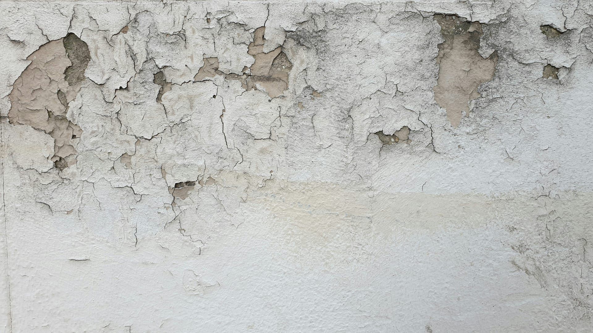 Peeling paint and moisture on an interior wall